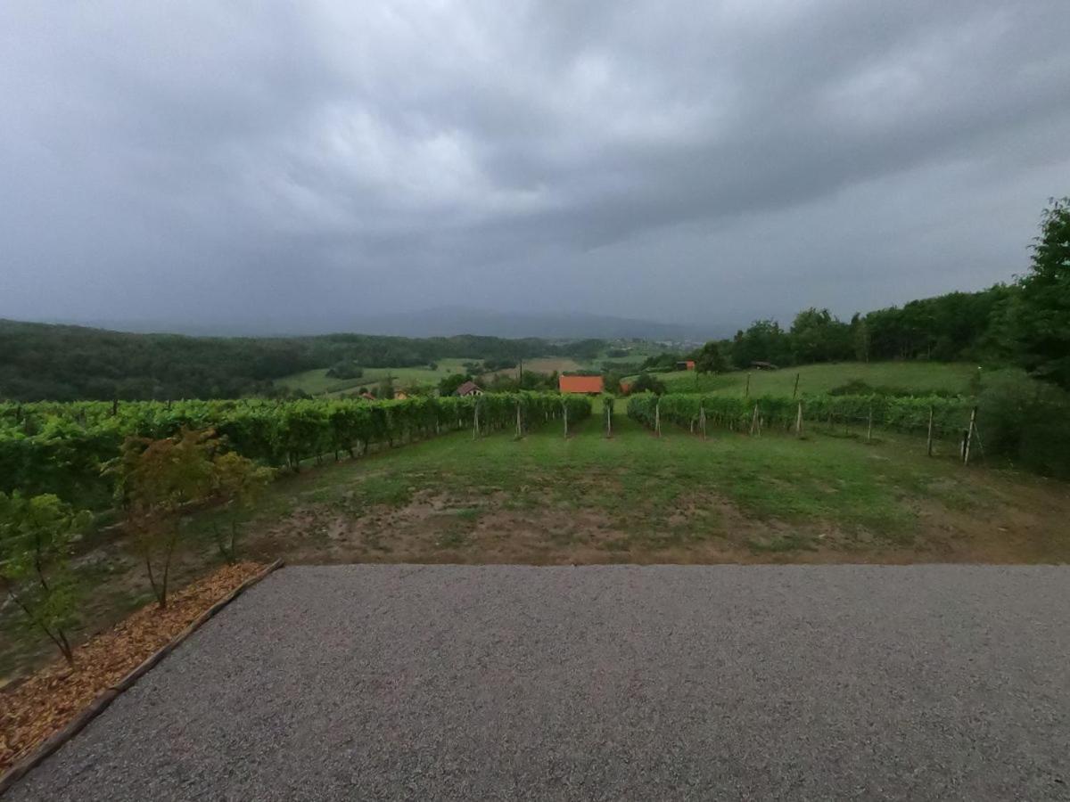 Pocitniska Hisa Parkfield Dragovan Metlika Exterior foto